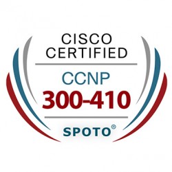 Cisco CCNP Enterprise 300-410 ENARSI Exam Dumps
