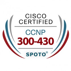 Cisco CCNP Enterprise 300-430 ENWLSI Exam Dumps