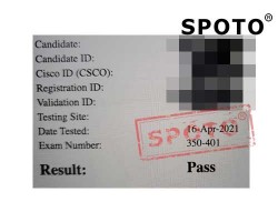 Latest CCNP Enterprise 300-430 Exam Dumps | Get Free CCNP Sns-Brigh10